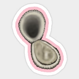 Oyster Sticker